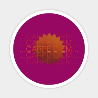 Carpe diem. Magnet